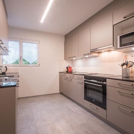 City Center Apartment - Интерлакен Экстерьер фото